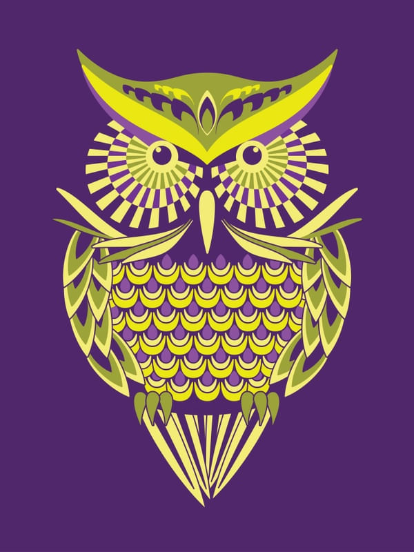 BRIGHT NIGHT OWL