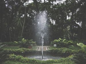 RIO - PARQUE LAJE
