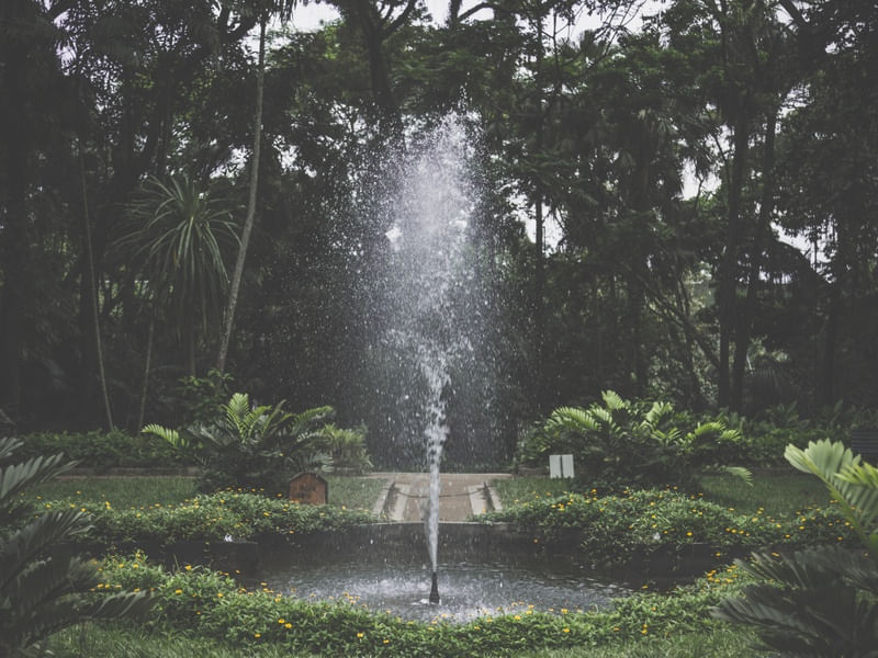 RIO - PARQUE LAJE