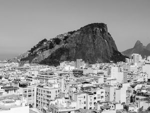 SELVA NA PEDRA