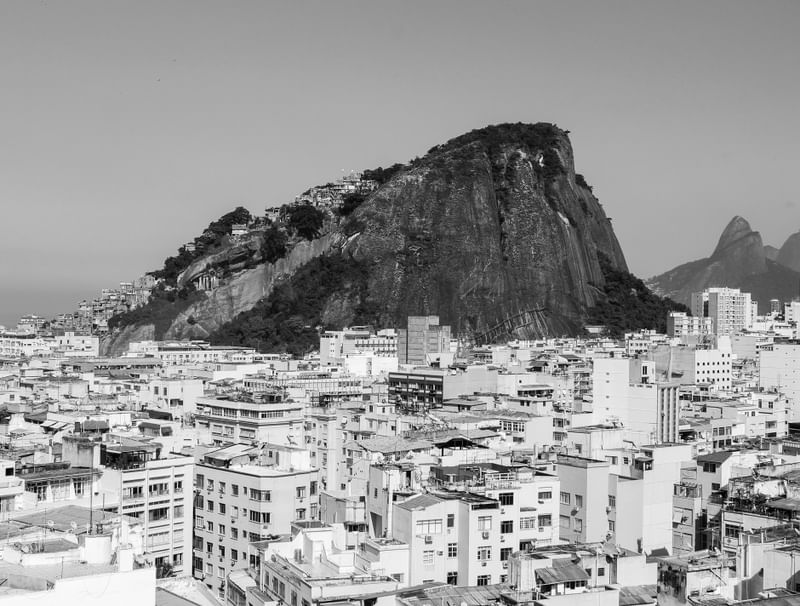 SELVA NA PEDRA