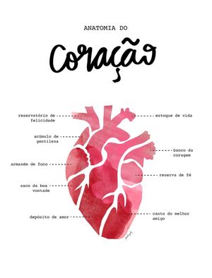 ANATOMIA DO CORAÇÃO