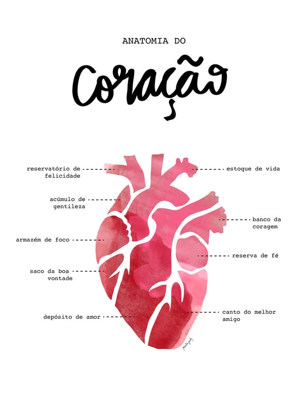 ANATOMIA DO CORAÇÃO