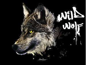WILD WOLF