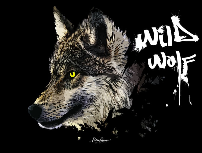 WILD WOLF