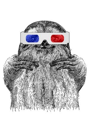 3D SLOTH