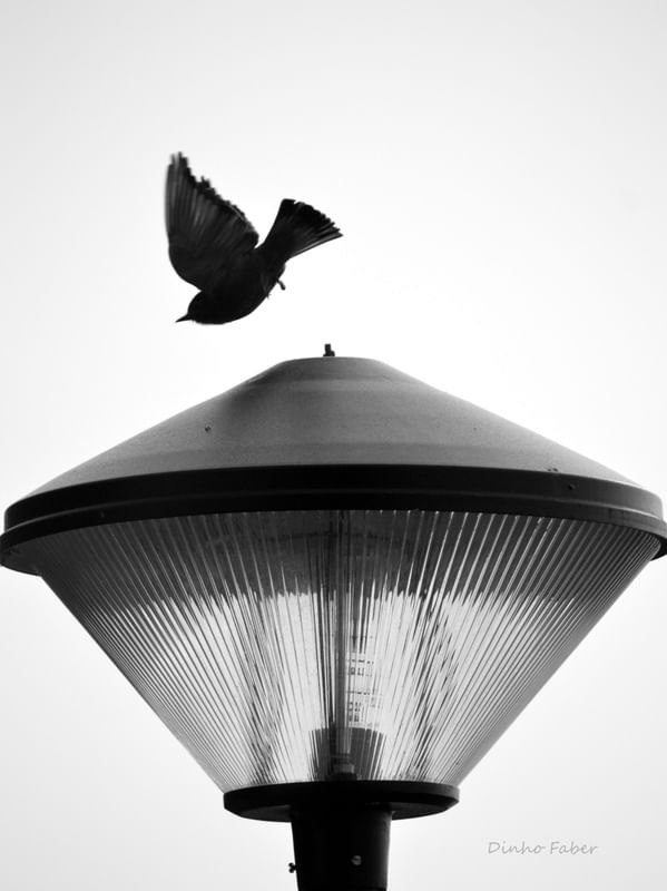 TAKE-OFF