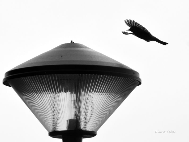 LANDING