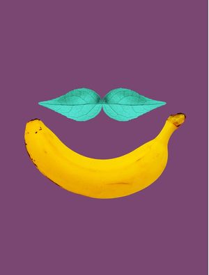 BANANA AND LEAVES