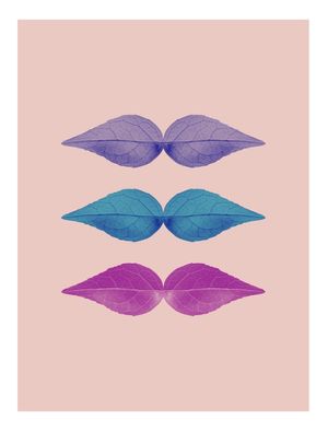 3 BIGODES