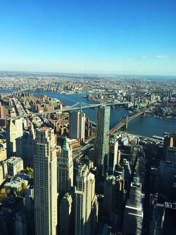NEW YORK B