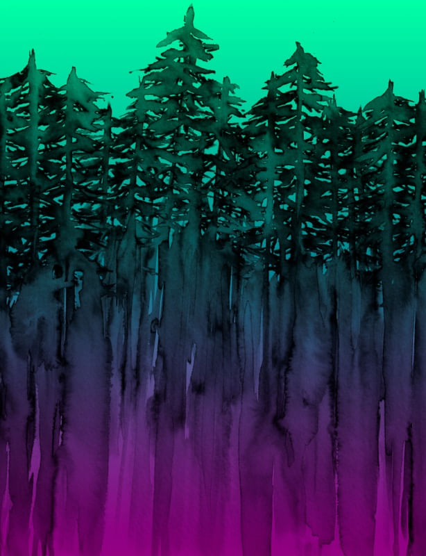 FOREST THROUGH THE TREES 9