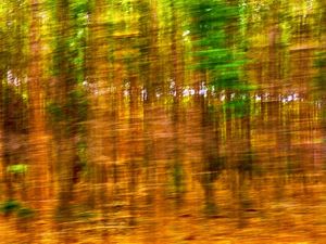 IMPRESSIONISMO 007A