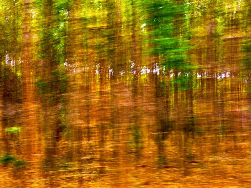 IMPRESSIONISMO 007A