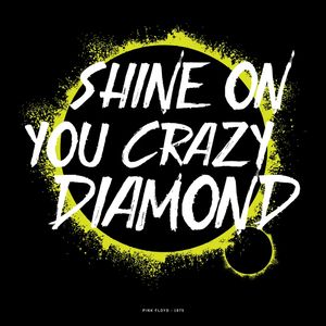 PINK FLOYD SHINE ON YOU CRAZY DIAMOND (QUADRADO)