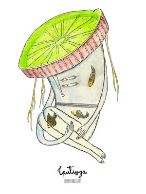 IPUTINGA