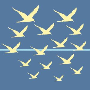 GAIVOTAS NO AZUL