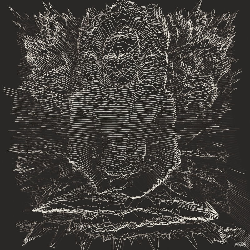 BUDDHA #2 BLACK AND LINES