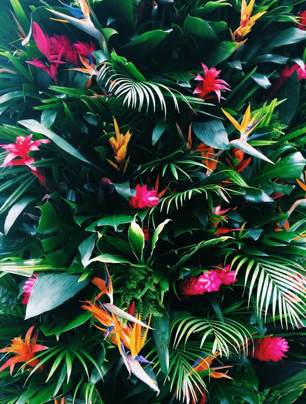 FLORAL ON THE WALL