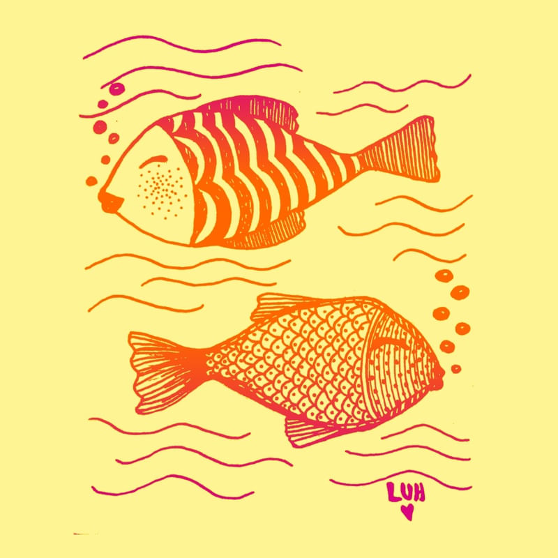 PEIXES NO POR DO SOL