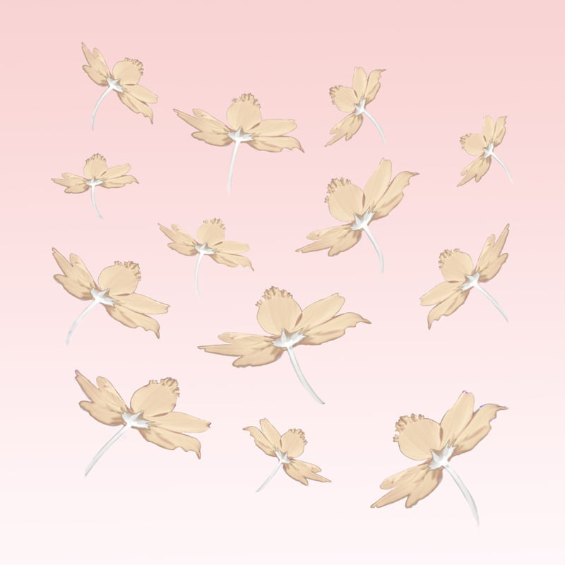 FLOR FUNDO ROSA