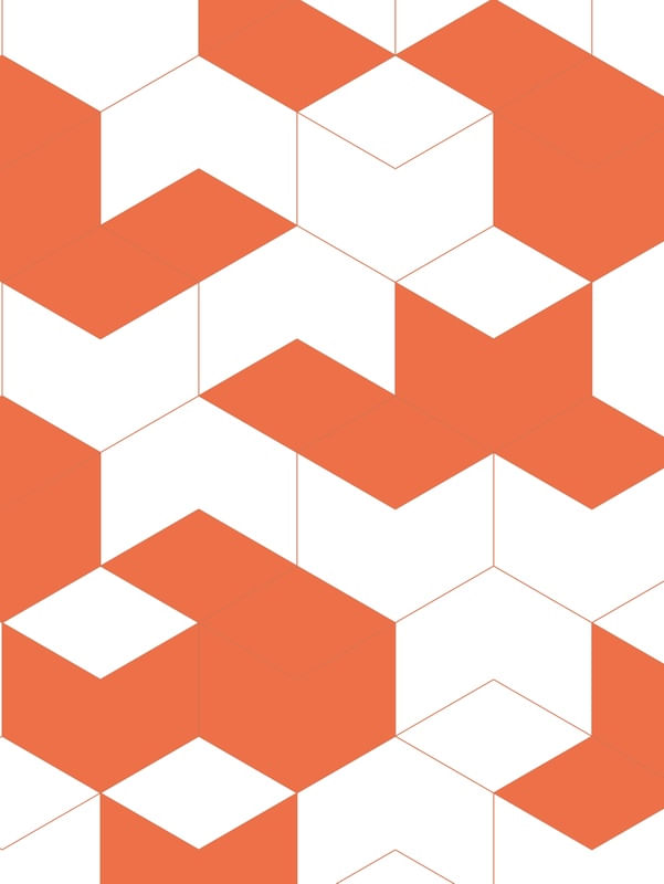 MINIMAL STATE