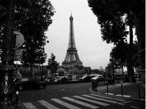 PARIS PICTURE VI