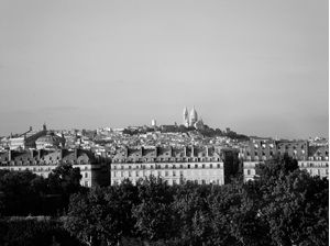 PARIS PICTURE VII