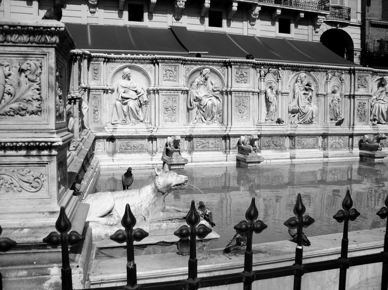 SIENA