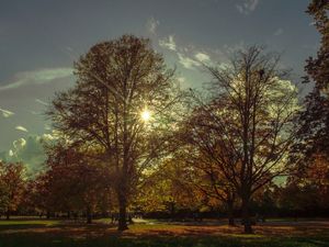 HYDE PARK SUNSET