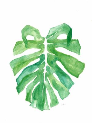 ELEPHANT EAR