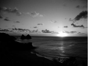 F. NORONHA BW