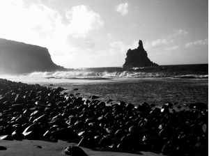 F. NORONHA III