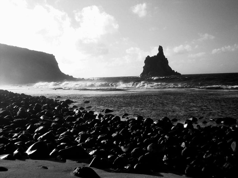 F. NORONHA III