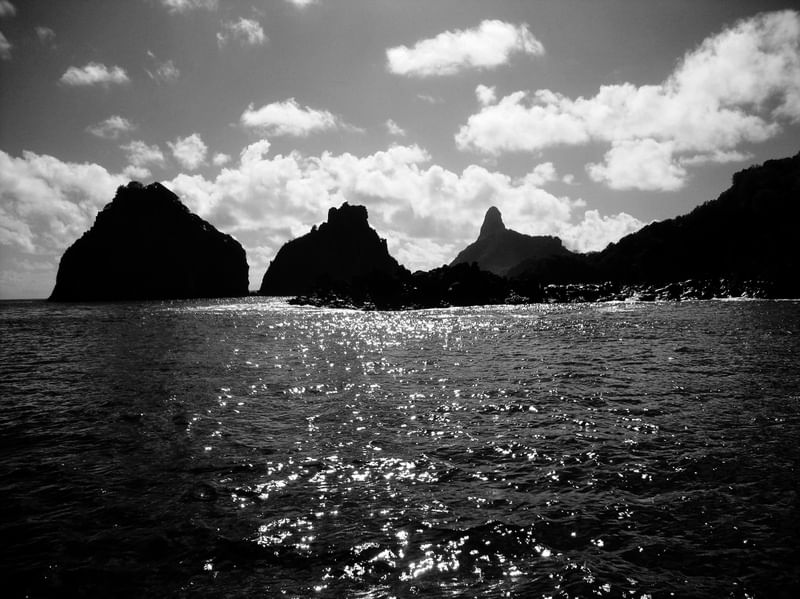 F. NORONHA IV