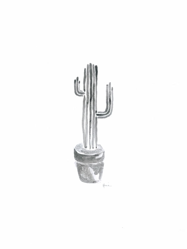 CACTI