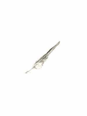THE STUDY OF WINGS