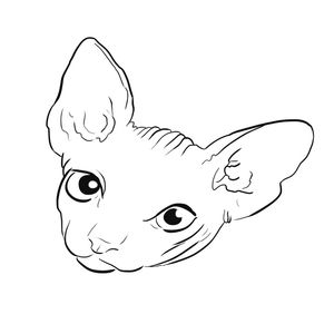 SPHYX
