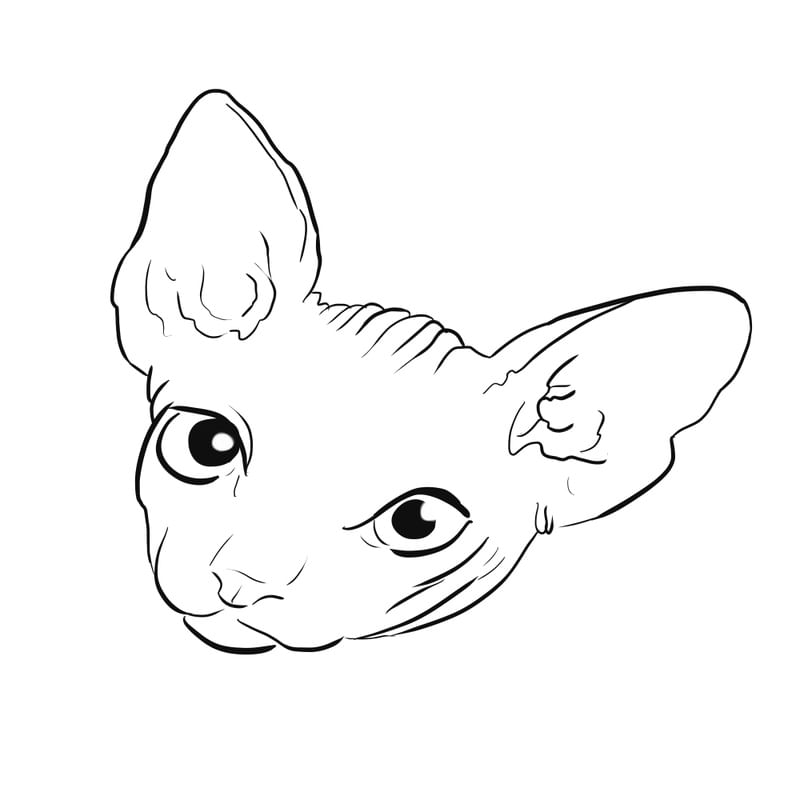 SPHYX
