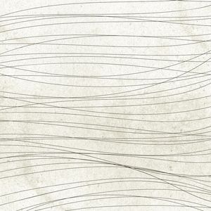 BLACK LINES