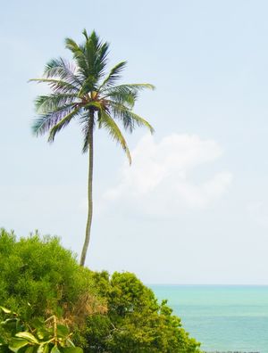 DIA DE VERÃO