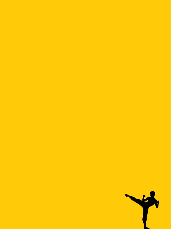 BRUCE YELLOW LEE