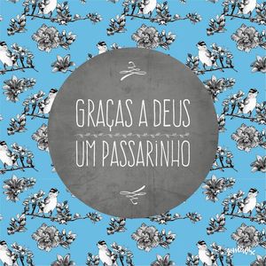 PASSARINHO