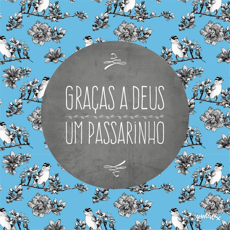PASSARINHO