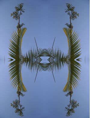 JARDINS2