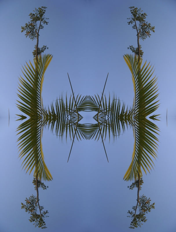 JARDINS2