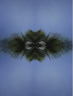 JARDINS3