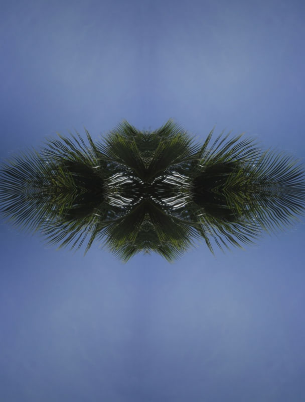 JARDINS3