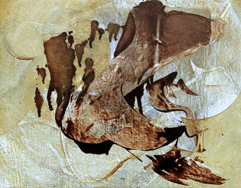 CASTANITA