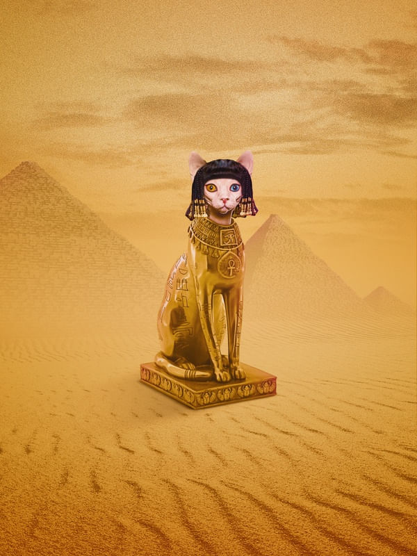 EGYPTIAN CAT